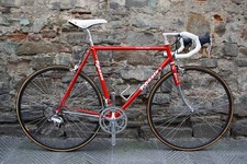 rossin racing team campagnolo