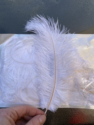 Beautiful white feathers - white,
