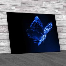 Dark Background Vibrant Flying Butterfly Canvas Print Large Picture Wall Art