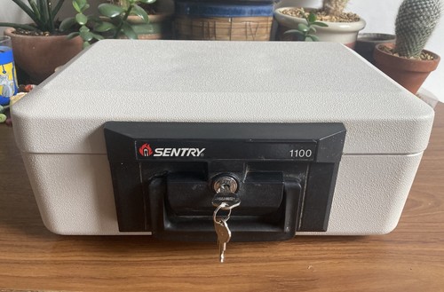 Sentry safe 1100 fire - safe,