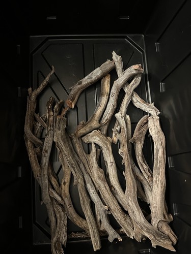 Manzanita wood 14 - manzanita,