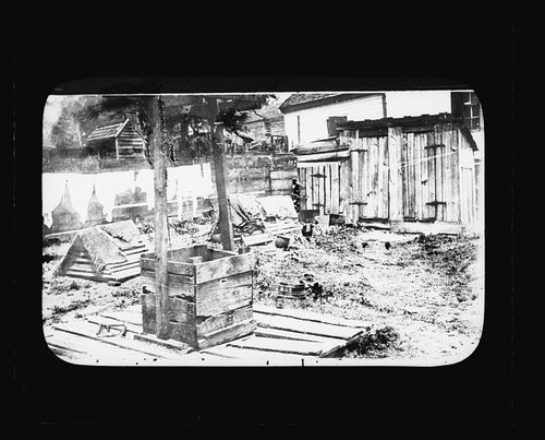 Photo 1920s backyard garden - photo:1920s,