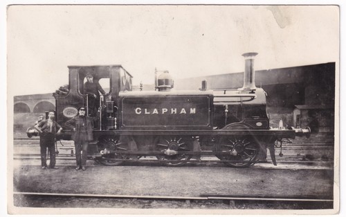 Lbscr clapham terrier - no,