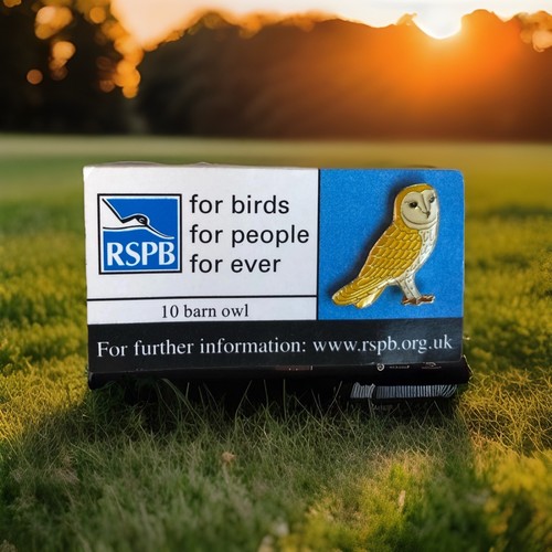 Rspb pin badge no10 barn - -pin,