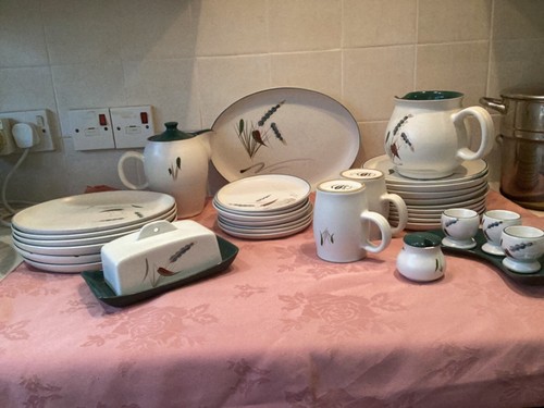 Denby wheatsheaf pieces - 30,