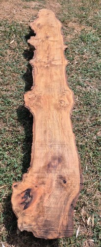Rare burr spalted ash live - ash,