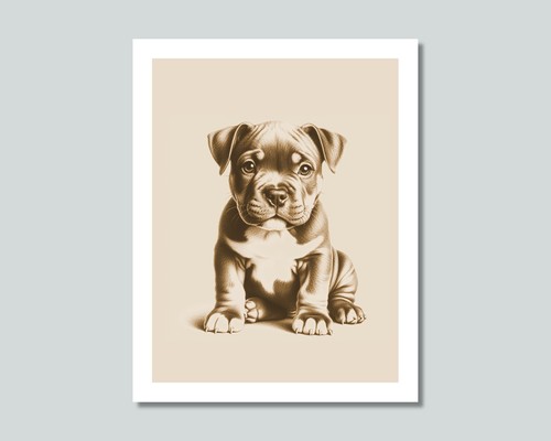 American bully puppy - puppy, dog