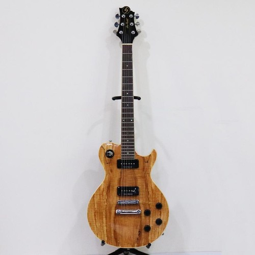 Greg bennett les paul - greg,
