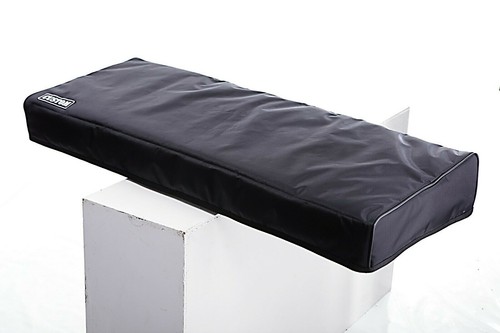 Custom padded cover for dave - cover,