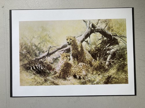 African wildlife print - wildlife,