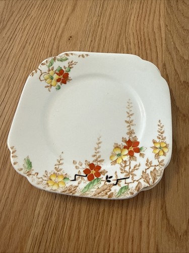 Salisbury fine bone - “xl”,