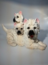 Westie West Highland Terrier &