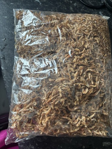 Crayfish fresh oron african - fresh, oron,