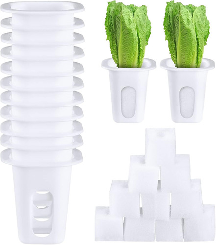 100 pcs hydroponics - 100,