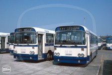 Bus Photo - Ulsterbus 282