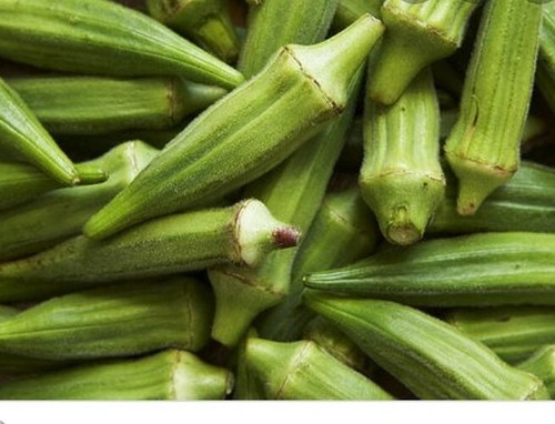Green okra bindi - green,