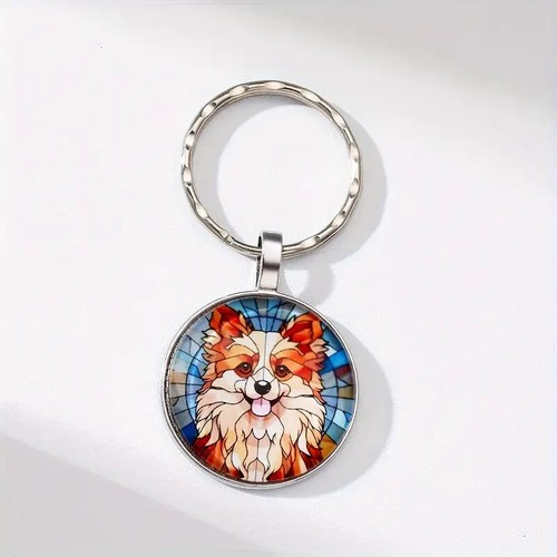 Pomeranian dog animal - pomeranian,