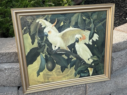 Original lithograph jesse arms - original,