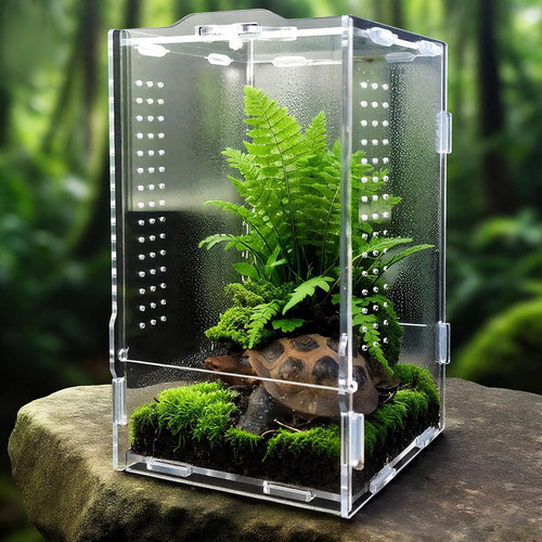 Acrylic terrarium for jumping - acrylic,