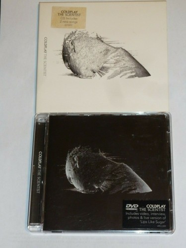 Coldplay clocks rare - coldplay,