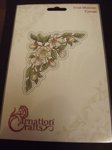 Carnation crafts fruit - carnation,