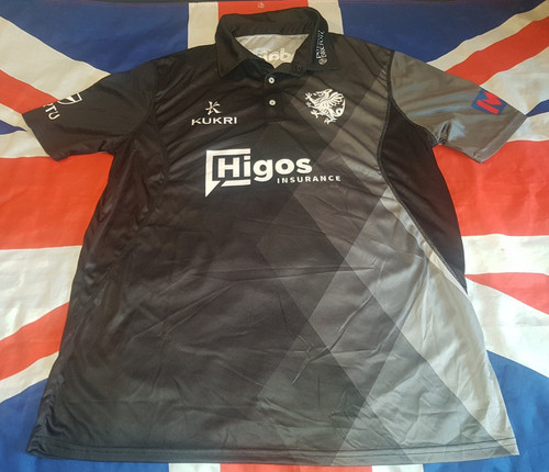 Somerset county cricket - somerset,