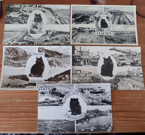 Multiview good luck cat - x,