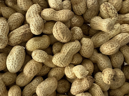 Monkey nuts peanuts shells - in,
