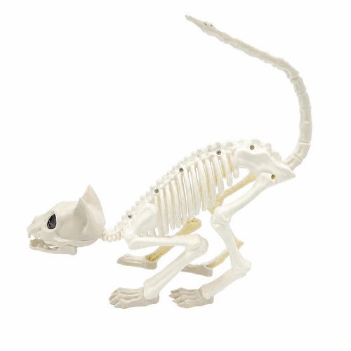 Cat skeleton figurine - cat, spooky
