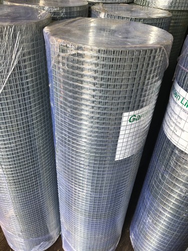 Welded chicken wire mesh - chicken,