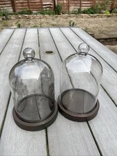 Two Glass Cloche Dome Display