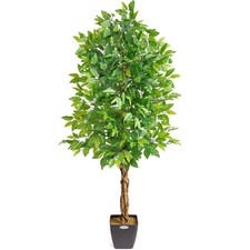 Artificial Ficus Tree