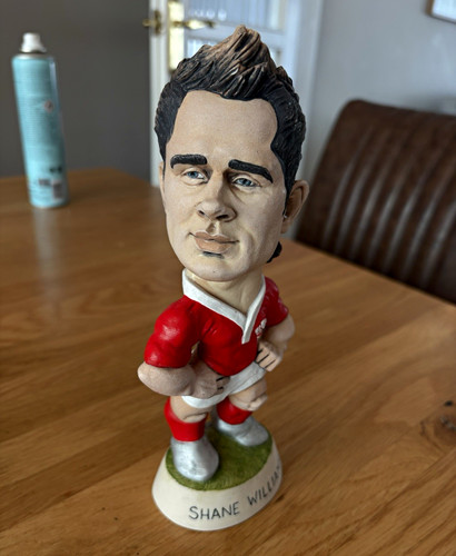 Shane williams collectable - williams,
