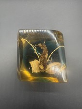 Amber Lucite Paperweight With