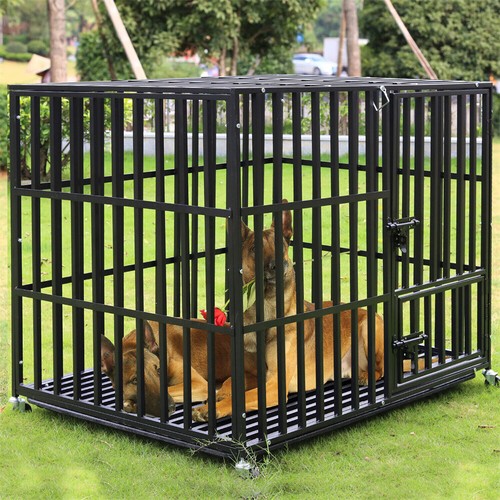 Xxl heavy duty pet - xxl,