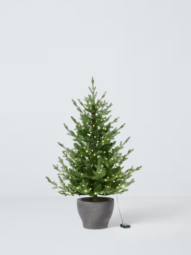 John lewis cotswold potted - john,
