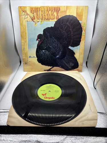 Wild turkey - wild,