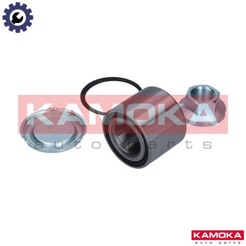 Wheel bearing kit 5600048 - kit, for