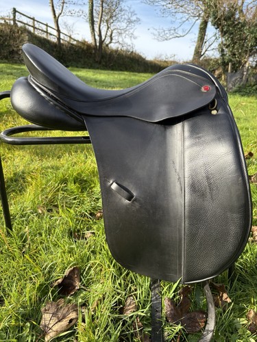 Albion legend dressage - albion,