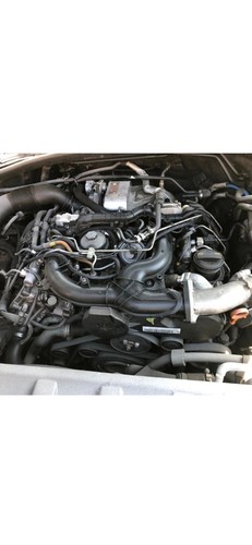 Audi tdi bug engine - audi,