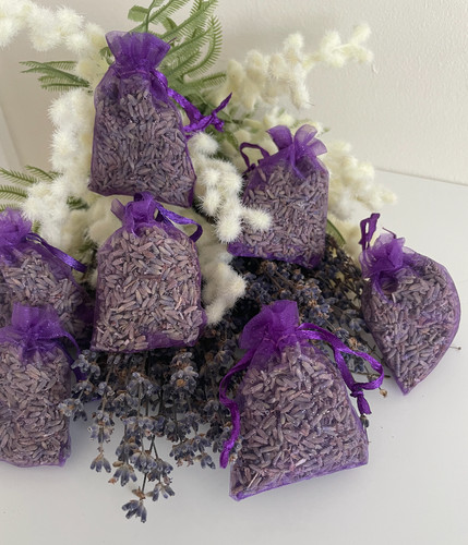 Dried french lavender - lavender, buds