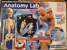 Anatomy Lab Skeleton Xray
