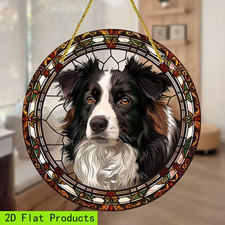 Happy Border Collie Dog