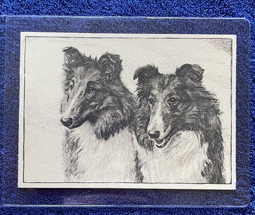 Ardath dog studies - 1938, (firms