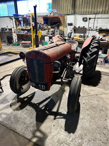 Massey ferguson gold belly - ferguson,