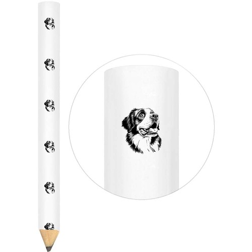 Bernard dog portrait - 'st,