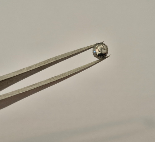 Genuine omega 5mm - genuine, x