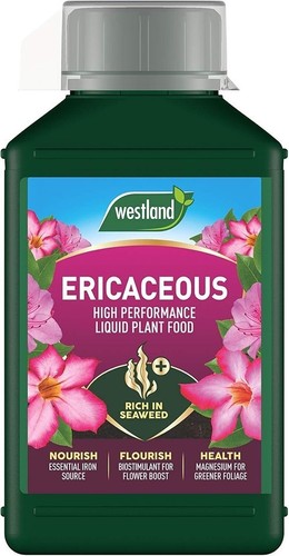 Westland ericaceous high - ericaceous,