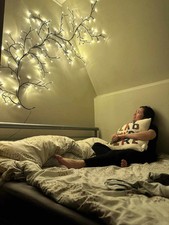 Enchanted Willow Vine Lights