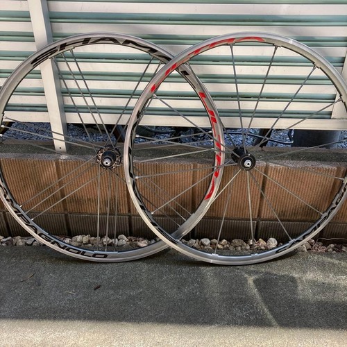 Precious campagnolo shamal - precious,